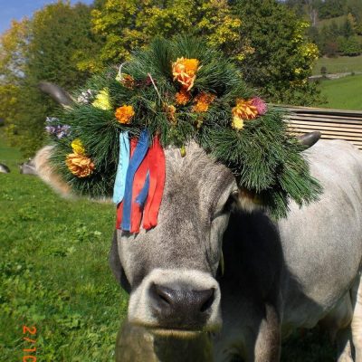 Marmsolhof Kastelruth in Südtirol