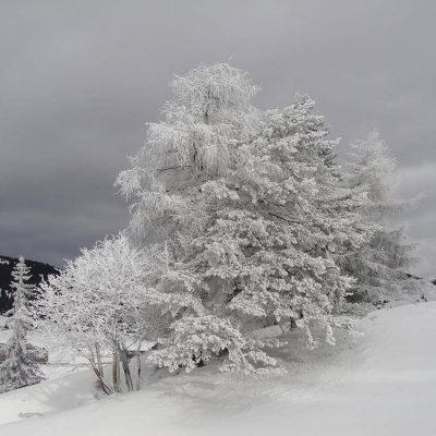 Marmsolhof Kastelruth in Südtirol