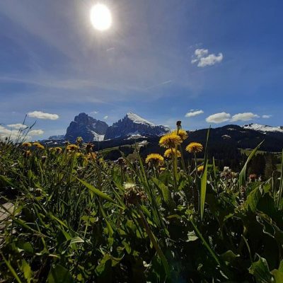 marmsolerhof kastelruth dolomiten bildergalerie 35