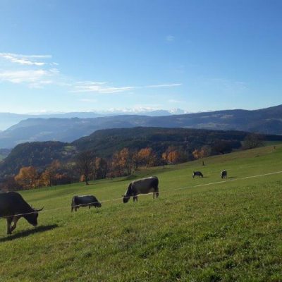 marmsolerhof kastelruth dolomiten bildergalerie 58