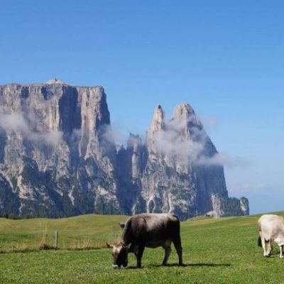 marmsolerhof suedtirol seiser alm 2 1