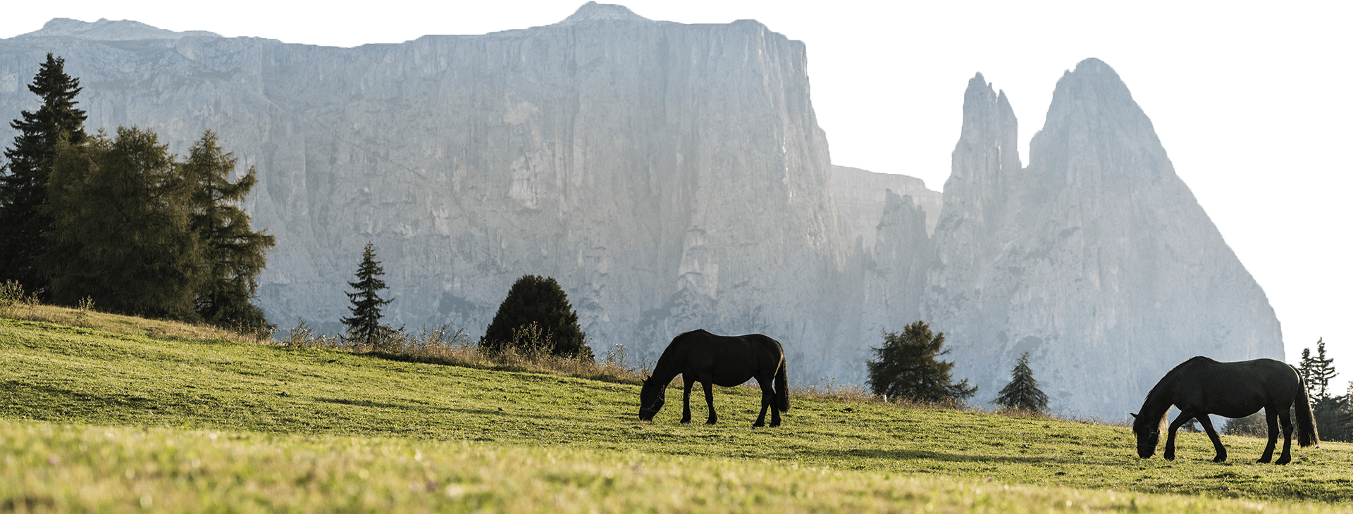 Naturparadies Seiser Alm Naturparadies Seiser Alm