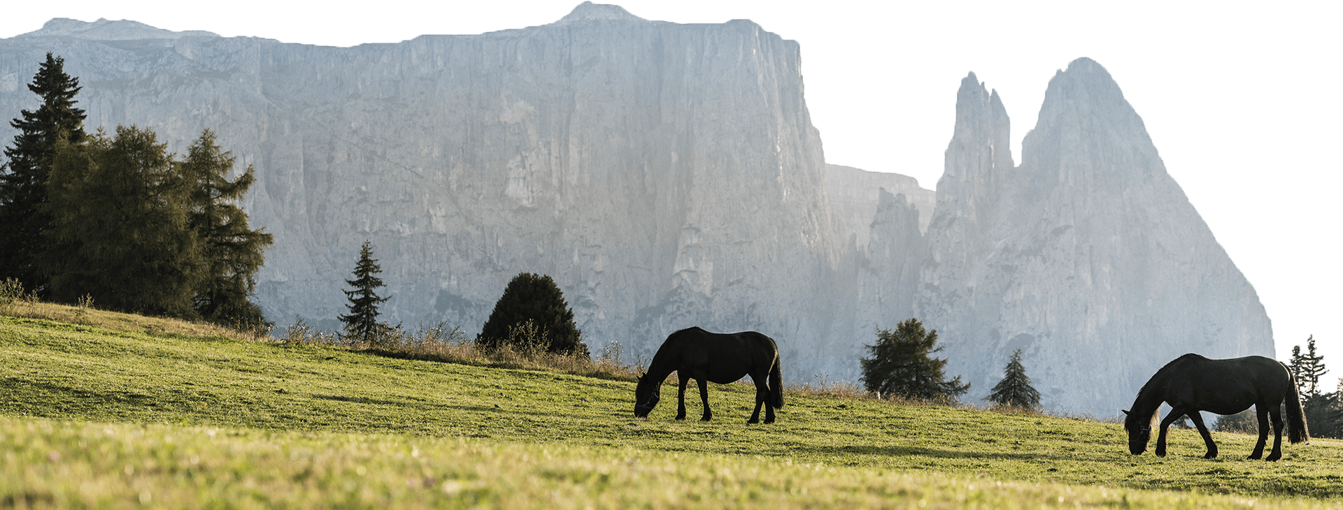 Naturparadies Seiser Alm