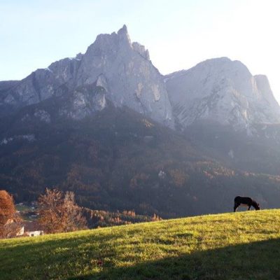 sommer seiser alm ferien suedtirol dolomiten 1