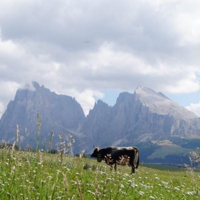 sommer seiser alm ferien suedtirol dolomiten 7